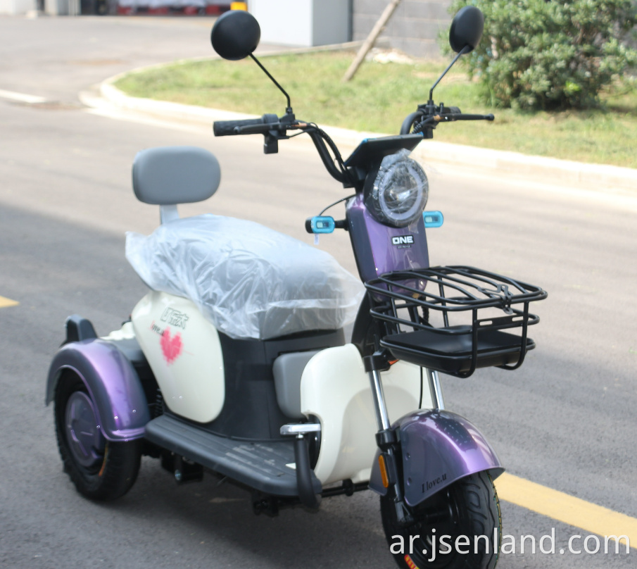 800W بطارية الليثيوم ثلاثية الدراجة ثلاثية 800W Lithium Battery Tricycle